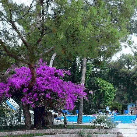 Beach Club Pinara Hv2 凯梅尔